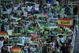 Sporting Gijon vs Real Betis z8 - Fotos de Fondos del Betis